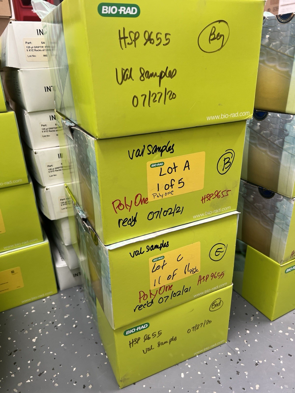 Lot Of 4 Boxes Bio Rad HSP9655 Hard Shell PCR Plates 96 Well Thin Wall (50/box)