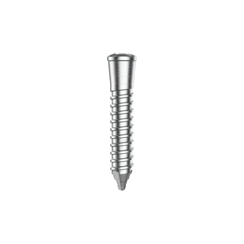 Dental Surg Procedure Fixtures GBR Locking Tenting Screw Titanium Guide