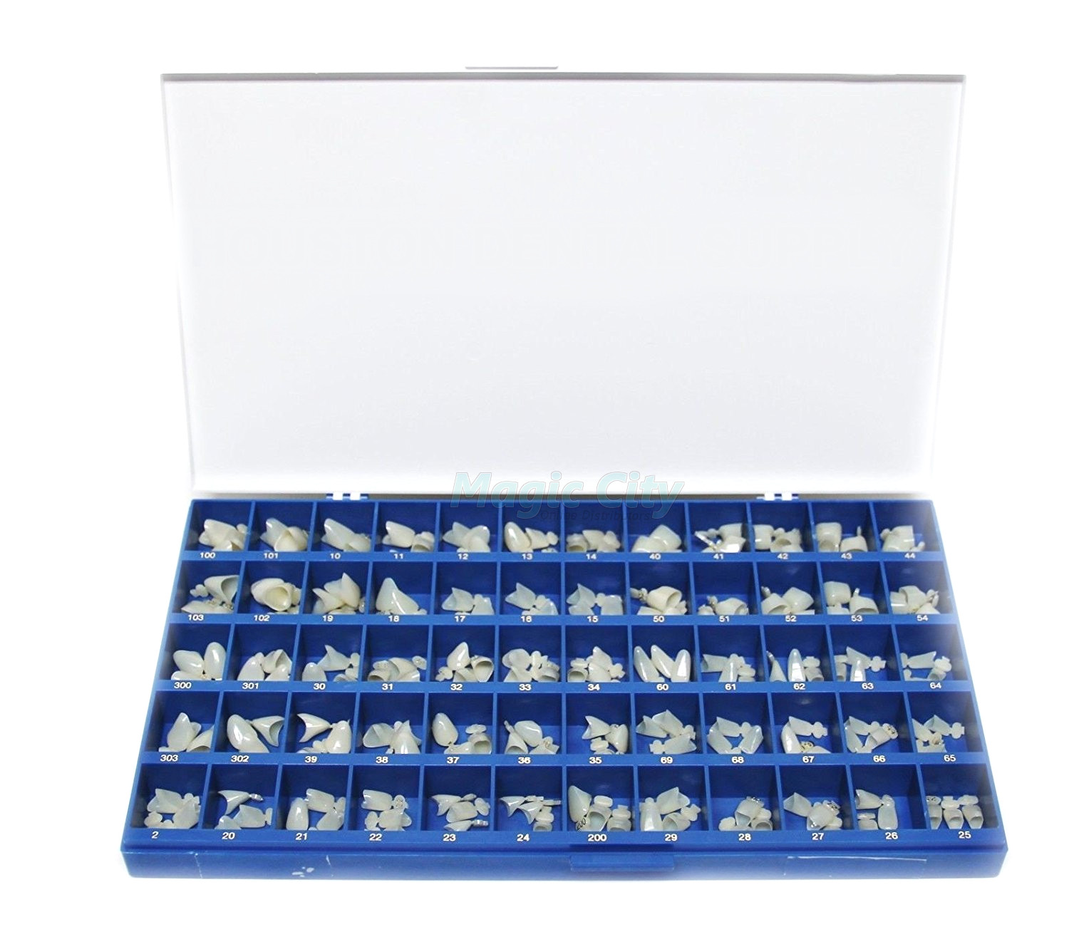 House Brand Polycarbonate Temporary Dental Crowns – Kit of 180