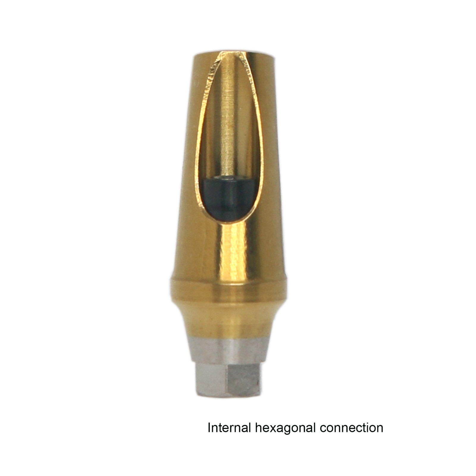 Hiossen ET Dental zest Locator/Healing/Straight/Angulated Abutment Mini/Regular