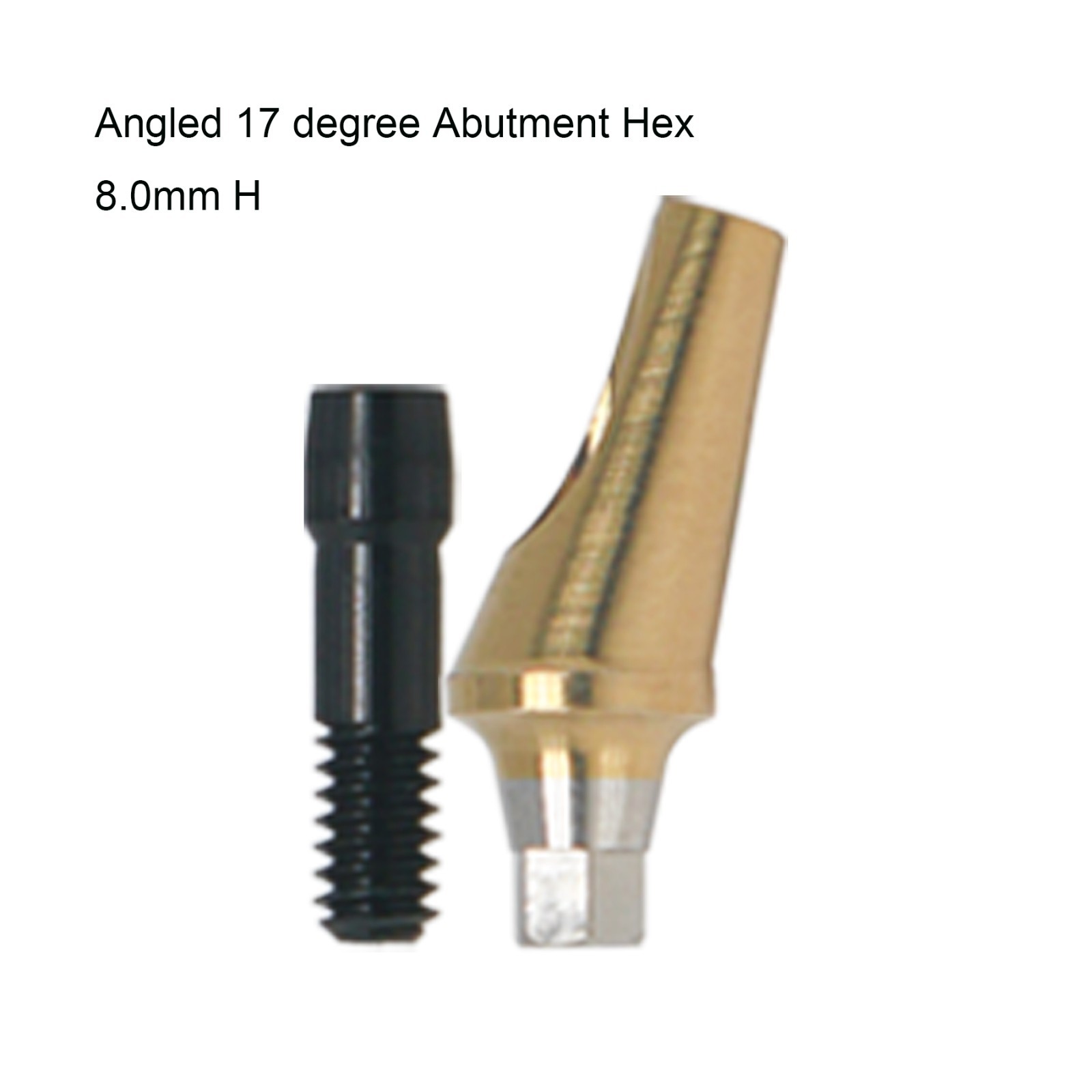 Hiossen ET Dental zest Locator/Healing/Straight/Angulated Abutment Mini/Regular