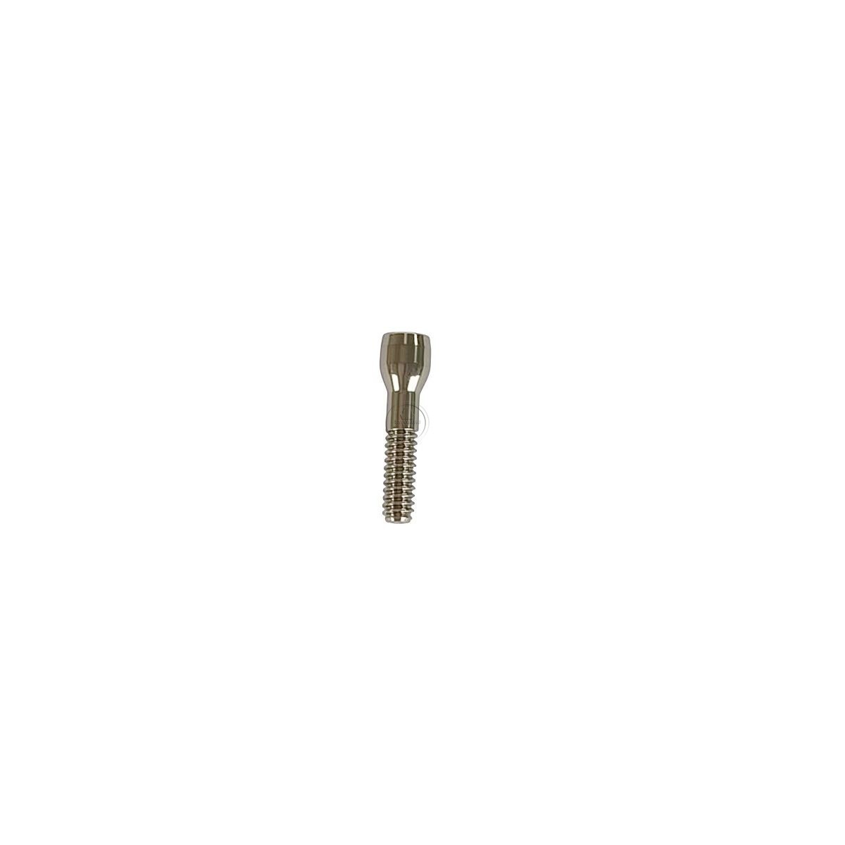 10 pcs titanium abutment ti screw fit to Astra EV 3.0 3.6 4.2 4.8/5.4
