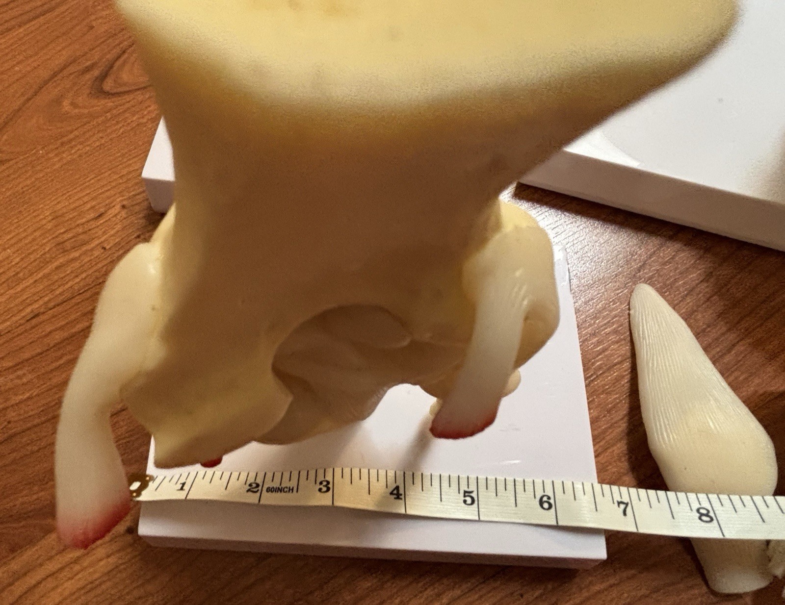 Knee Shoulder Elbow GPI Model Set of 3 GOI Anatomicals See Description