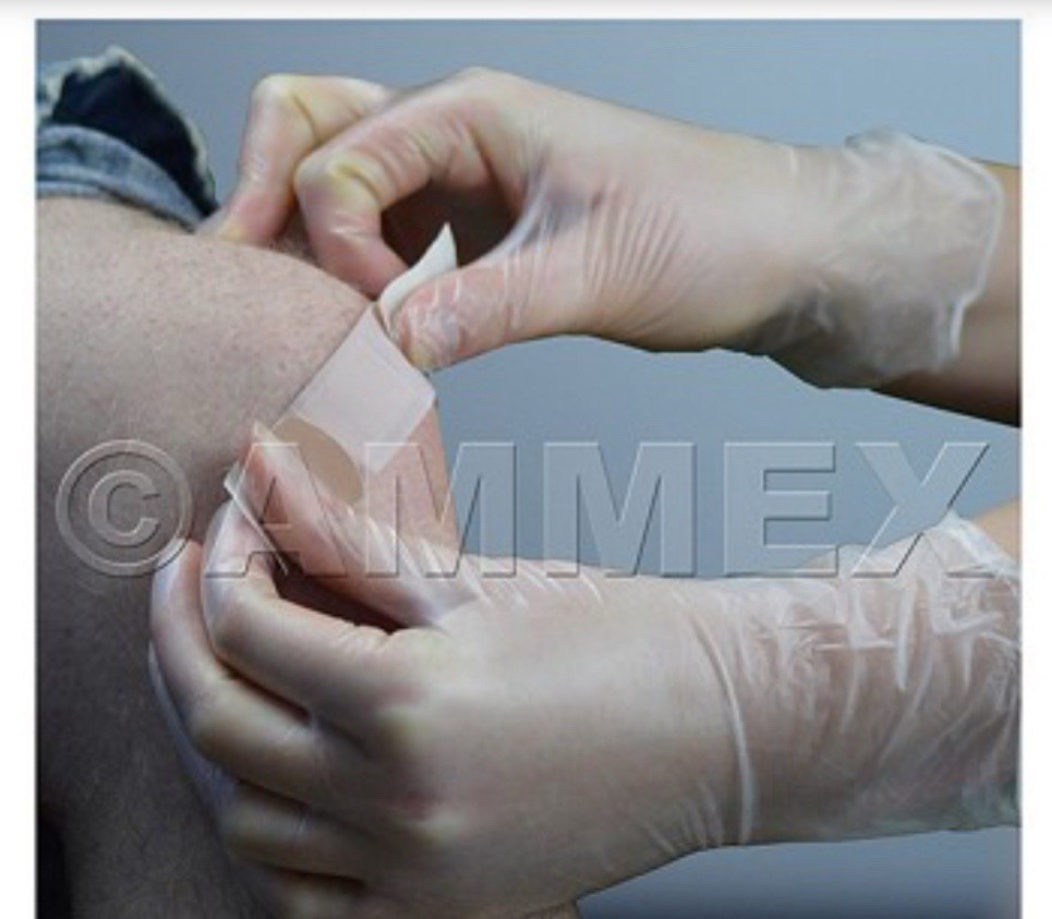 1000 (10 Boxes) AMMEX L Large Professional Vinyl Exam Gloves Protection Clinical