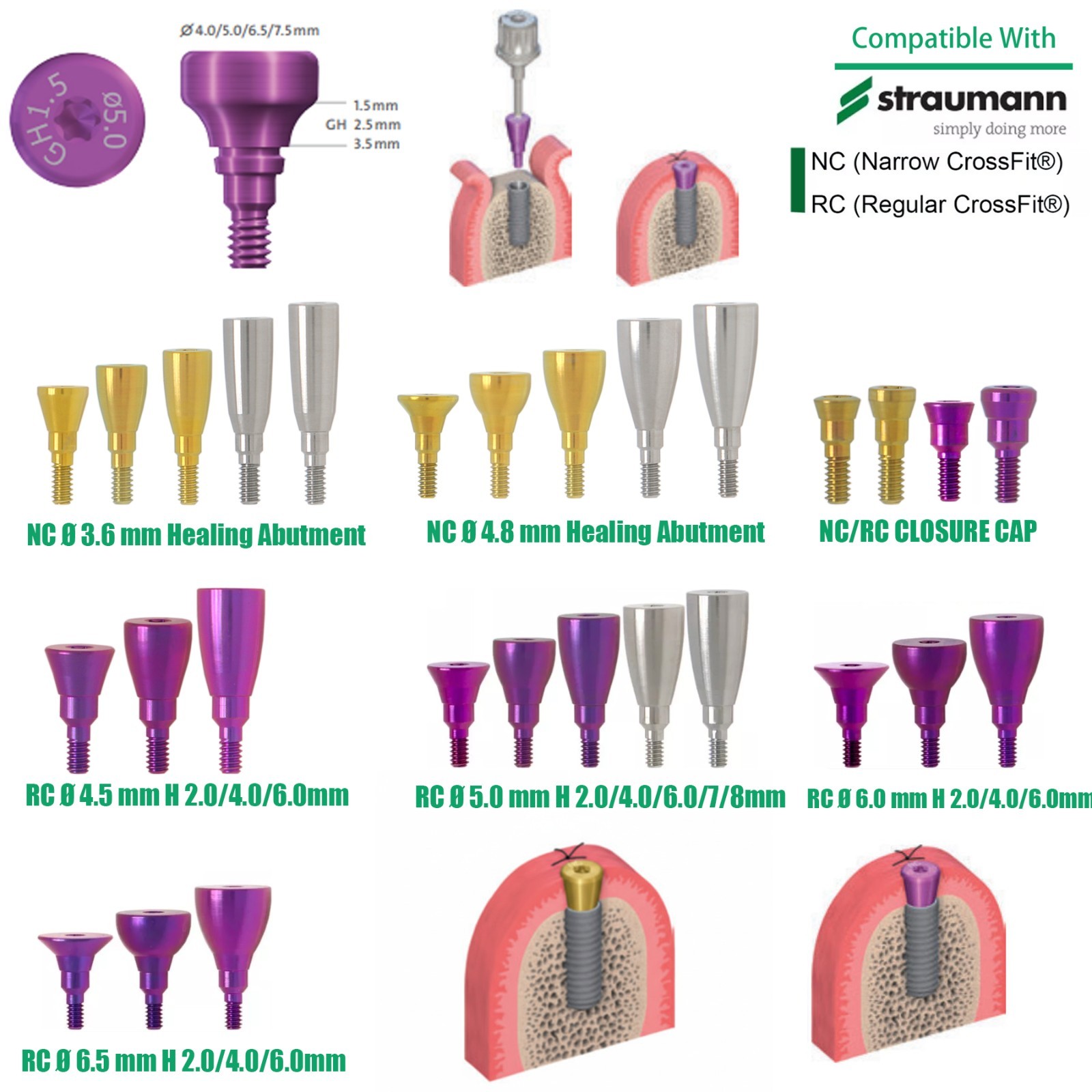 US Fit Straumann Closure Screw Healing Abutment NC/RC Bone Level BL/BLT Titanium